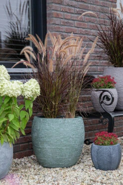 Bloempot Arizona Bullet Cypress Wash - D32 X H28.5cm - Groen -Groene Tuin Verkoop arizona bullet cypress wash d32h285 bloempot 7 9