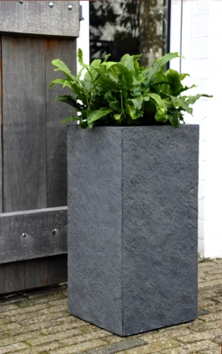 Plantenbak Arizona Cubihi - L22 X B22 X H50cm - Donkergrijs -Groene Tuin Verkoop arizona cubihi graphite w22h50 plantenbak 7 4
