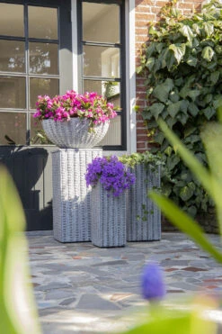 Plantenschaal Arkansas - D28 X H11.5cm - Lichtgrijs 5 Plantenschaal Arkansas - D28 X H11.5cm - Lichtgrijs -Groene Tuin Verkoop arkansas bowl low washed grey d28h115 bloempot 7 9