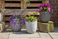 Bloempot Arkansas Egg Washed - D45 X H43cm - Lichtgrijs -Groene Tuin Verkoop arkansas egg pot washed grey d45h43 bloempot 7 9