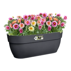 Elho Balkonbak Vibia Campana Easy Hanger Large - Antraciet -Groene Tuin Verkoop balkonbak vibia campana easy hanger large antraciet balkonbak antraciet 4 1