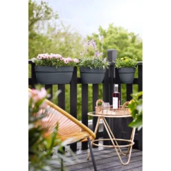 Elho Balkonbak Vibia Campana Easy Hanger Medium - Antraciet 9 Elho Balkonbak Vibia Campana Easy Hanger Medium - Antraciet -Groene Tuin Verkoop balkonbak vibia campana easy hanger medium antraciet balkonbak antraciet 5 1