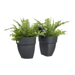 Elho Balkonbak Vibia Campana Twin 21cm - Antraciet -Groene Tuin Verkoop balkonbak vibia campana twin 21cm antraciet balkonbak antraciet 3 1