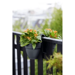 Elho Balkonbak Vibia Campana Twin 21cm - Antraciet -Groene Tuin Verkoop balkonbak vibia campana twin 21cm antraciet balkonbak antraciet 5 1