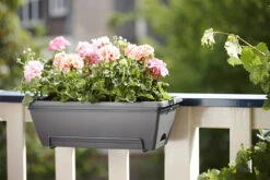 Balkonbak Elho Barcelona Allin 1 50cm - Antraciet -Groene Tuin Verkoop barcelona allin1 50cm plantenbak antraciet 7 18