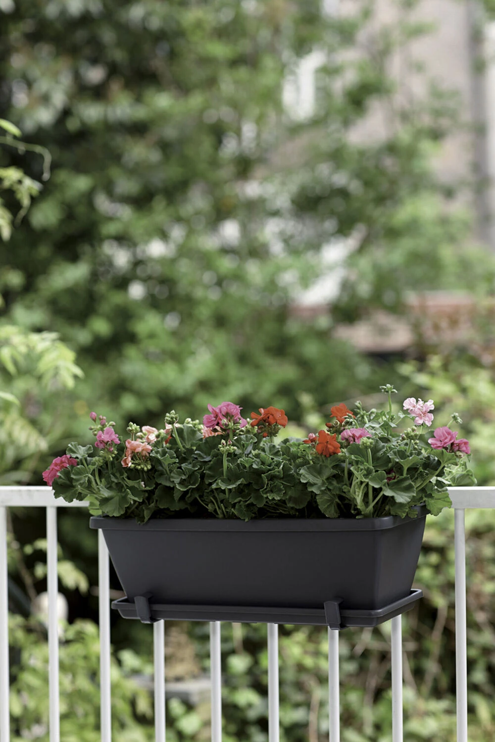 Groene Tuin Verkoop -Groene Tuin Verkoop barcelona balkonbak 90cm plantenbak antraciet 6 22