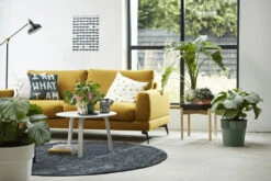 Bloempot Elho B.for Original Rond 25cm - Bladgroen -Groene Tuin Verkoop bfor original rond 25cm bloempot bladgroen 7 17