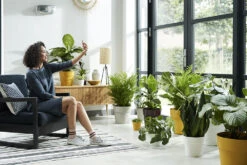 Bloempot Elho B.for Original Rond 25cm - Wit -Groene Tuin Verkoop bfor original rond 25cm bloempot wit 6 17