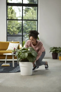 Bloempot Elho B.for Original Rond 30cm - Wit -Groene Tuin Verkoop bfor original rond 30cm bloempot wit 7 17