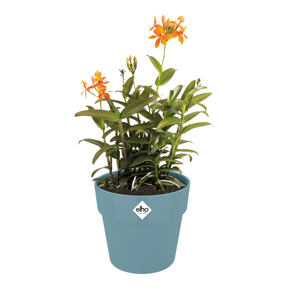 Bloempot Elho B.for Original Rond 25cm - Duifblauw 3 Bloempot Elho B.for Original Rond 25cm - Duifblauw - Afbeelding 3