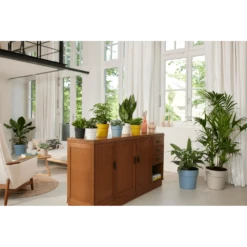 Bloempot Elho B.for Original Rond 30cm -Duifblauw -Groene Tuin Verkoop bfor original rond bloempot duifblauw 4 1