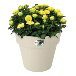 Bloempot Elho Green Basics Top Planter 40cm - Katoen Wit -Groene Tuin Verkoop bloempot elho green basics top planter katoen wit bloempot katoen wit 3 1 1