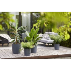 Bloempot Elho Greensense Aqua Care Rond - D30 X H29cm - Houtskoolgrijs -Groene Tuin Verkoop bloempot elho greensense aqua care rond d30 x h29cm houtskoolgrijs bloempot 5 1