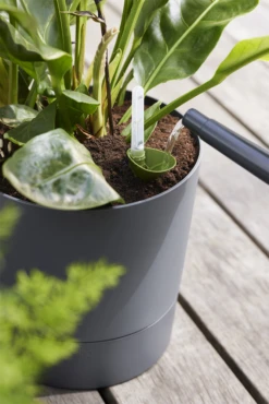 Bloempot Elho Greensense Aqua Care Rond - D30 X H29cm - Houtskoolgrijs -Groene Tuin Verkoop bloempot elho greensense aqua care rond d30 x h29cm houtskoolgrijs bloempot 6 1