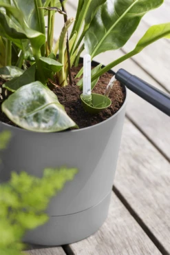 Bloempot Elho Greensense Aqua Care Rond - D30 X H29cm - Licht Beton -Groene Tuin Verkoop bloempot elho greensense aqua care rond d30 x h29cm licht beton bloempot 6 2