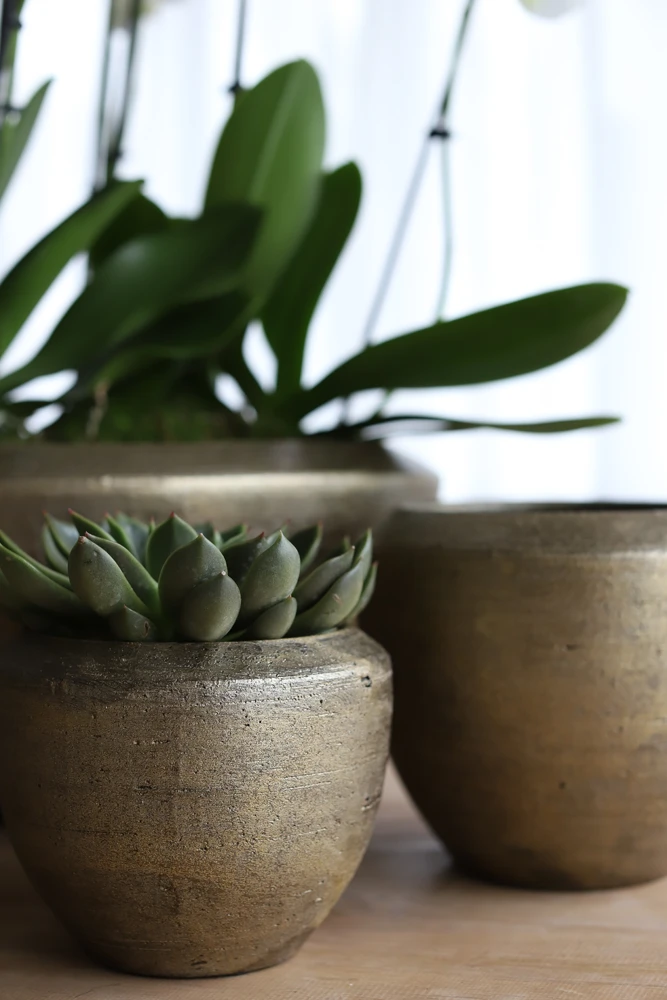 Bloempot Kos - D20 X H18cm - Goud 2 Bloempot Kos - D20 X H18cm - Goud - Afbeelding 2