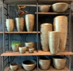 Plantenschaal Kos - D45 X H20cm - Goud -Groene Tuin Verkoop bloempot kos serie goud bloempot 3 1