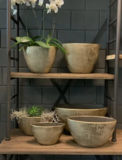 Bloempot Kos Ovaal - L41 X B19 X H22cm - Goud -Groene Tuin Verkoop bloempot kos serie ovaal goud bloempot 3 1 1