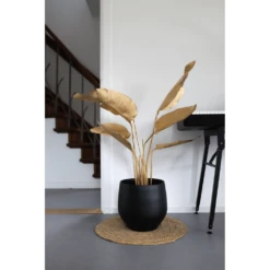 Bloempot Petra - D27 X H24cm - Mat Zwart -Groene Tuin Verkoop bloempot petra mat zwart 3 1