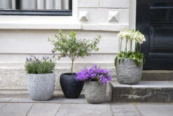 Bloempot Colorado Egg - D32 X H31cm - Grijs -Groene Tuin Verkoop colorado egg pot river grey d32h31 bloempot 7 9