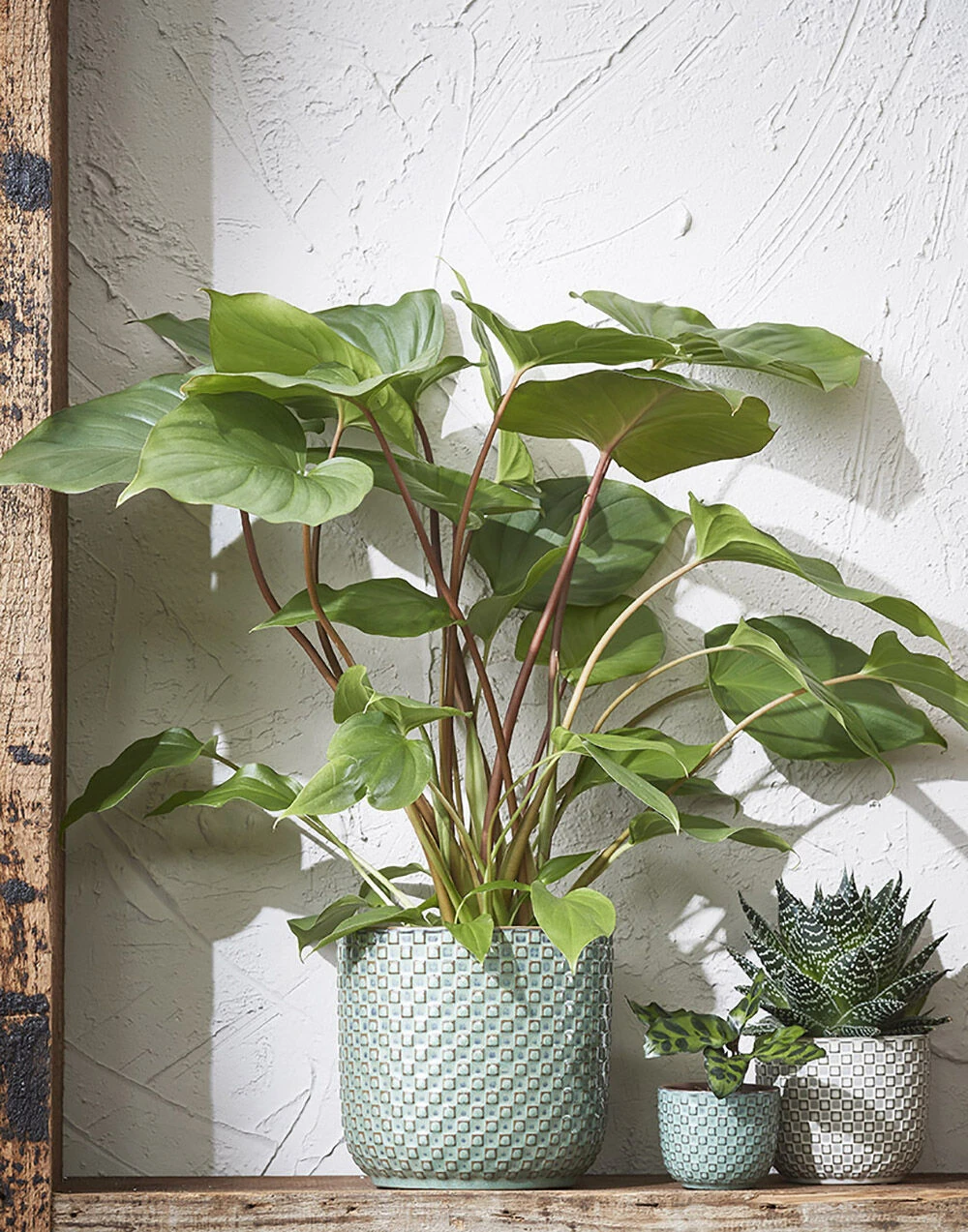 Bloempot Daan - D21.5 X H20.5cm - Wit 2 Bloempot Daan - D21.5 X H20.5cm - Wit - Afbeelding 2