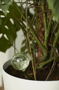 Aqua Care Elho - Transparant -Groene Tuin Verkoop elho aqua care transparant water geven 7 2