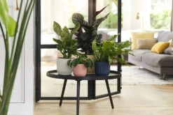 Bloempot Elho Vibes Fold Rond - D22 X H20cm - Diepblauw -Groene Tuin Verkoop elho vibes fold rond 22 blauw d22 h20cm bloempot diepblauw 7 19