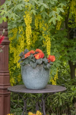 Bloempot Glazed Egg - D30 X H26cm - Groen -Groene Tuin Verkoop glazed egg pot moss green d30h26 bloempot groen 7 6