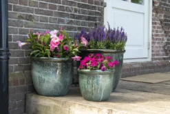 Bloempot Glazed Hp001 - D39 X H30cm - Groen -Groene Tuin Verkoop glazed hp001 moss green d39h30 bloempot groen 7 6
