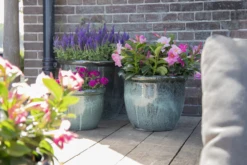 Bloempot Glazed Hp001 - D50 X H39cm - Groen -Groene Tuin Verkoop glazed hp001 moss green d50h39 bloempot groen 7 6