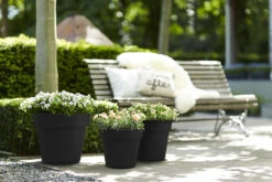 Bloempot Elho Green Basics Top Planter 47cm - Living Black -Groene Tuin Verkoop green basics top planter 47cm bloempot living black 7 13