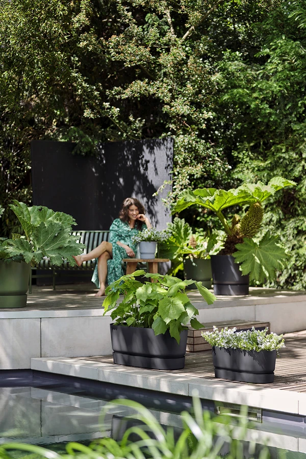 Bloembak Elho Greenville Terrace 80cm - Met Wielen - Living Black 6 Bloembak Elho Greenville Terrace 80cm - Met Wielen - Living Black - Afbeelding 6