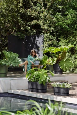 Bloembak Elho Greenville Terrace Long 50cm - Met Wielen - Living Black -Groene Tuin Verkoop greenville trough long 50 plantenbak living black 6 13