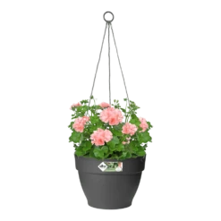 Elho Hangschaal Vibia Campana 26cm - Antraciet -Groene Tuin Verkoop hangschaal vibia campana 26cm antraciet hangpot antraciet 3 1