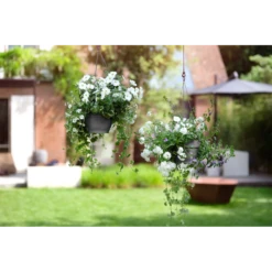 Elho Hangschaal Vibia Campana 26cm - Antraciet -Groene Tuin Verkoop hangschaal vibia campana 26cm antraciet hangpot antraciet 4 1