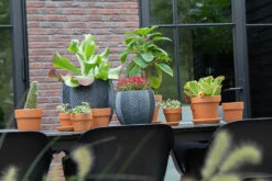 Bloempot Iowa Bullet - D44 X H39cm - Donkergrijs -Groene Tuin Verkoop iowa bullet graphite d44h39 bloempot 7 9