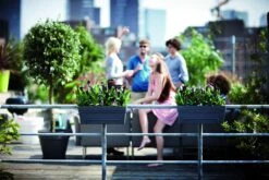 Balkonbak Elho Loft Urban Allin1 50cm - Antraciet -Groene Tuin Verkoop loft urban balkonbak allin1 50 plantenbak antraciet 7 13