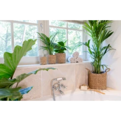 Plantenmand Joris - D33 X H31cm - Naturel -Groene Tuin Verkoop plantenmand joris naturel plantenmand 3 3