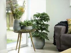 Bloempot Ryan - D22 X H20cm - Shiny Blue -Groene Tuin Verkoop pot ryan shiny blue keramiek d22 h20 bloempot 7 10