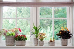 Bloempot Thies - D19 X H17cm - Olijf Groen -Groene Tuin Verkoop pot thies olive green d19 h17 bloempot 7 9