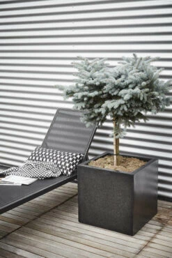 Capi Plantenbak Vierkant Lux Terrazo - L50 X B50 X H50cm - Zwart -Groene Tuin Verkoop pot vierkant 50x50x50 zwart plantenbak 7 8