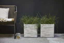 Capi Plantenbak Vierkant Nature Rib NL - L30 X B30 X H30cm - Ivoor -Groene Tuin Verkoop pot vierkant rib nl 30x30x30 ivoor plantenbak 7 8