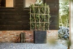 Capi Plantenbak Vierkant Nature Rib NL - L50 X B50 X H50cm - Zwart -Groene Tuin Verkoop pot vierkant rib nl 50x50x50 zwart plantenbak 7 8