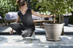 Plantentaxi Elho Universeel 35cm - Antraciet -Groene Tuin Verkoop universele planttaxi 35cm schotel antraciet 6 11