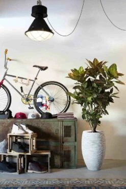 Capi Bloempot Hoog Nature Elegant Deluxe Rib NL - D38 X H58cm - Ivoor -Groene Tuin Verkoop vaas elegant deluxe rib nl 40x60 ivoor bloempot 7 8