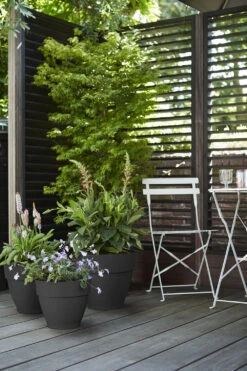 Bloempot Elho Vibia Campana Rond 40cm - Antraciet -Groene Tuin Verkoop vibia campana rond 40 bloempot antraciet 7 11