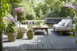 Bloempot Elho Vibia Campana Rond 55cm - Saliegroen -Groene Tuin Verkoop vibia campana saliegroen bloempot 4 6 2