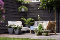 Bloempot Elho Vibia Campana Vierkant 37cm - Antraciet -Groene Tuin Verkoop vibia campana vierkant 37 plantenbak antraciet 6 11