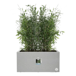 Elho Vivo Next Lang Wielen 80cm - Warm Grijs -Groene Tuin Verkoop vivo matt lang wielen 80cm warm grijs 5 1