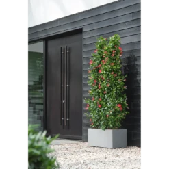 Elho Vivo Next Lang Wielen 80cm - Warm Grijs -Groene Tuin Verkoop vivo matt lang wielen 80cm warm grijs 6 1